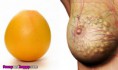 /album/nadherne-kreace-jidla/vegetables-like-human-bodies-3-jpg/